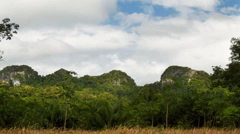 Summer landscape timelapse.  Stock Footage 68506333