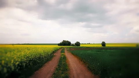 Summer landscape. timelapse. steppe road and cloudy sky. Stock Footage 220128196