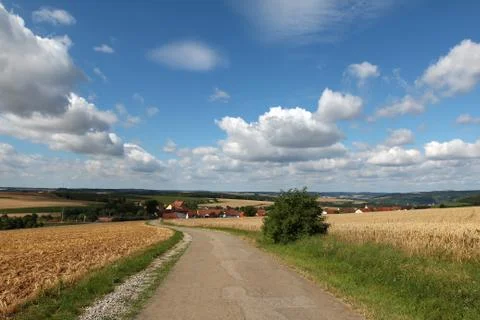 Summer landscape with tree Stock Photos