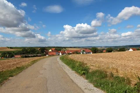 Summer landscape with tree Stock Photos