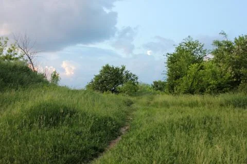 Summer landscape with trees, path through green grass, and blue sky with clouds Stock Photos
