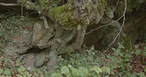 Summer landscape in Val D Aran, Lleida, Pyrenees, Spain. Stock Footage 207595016
