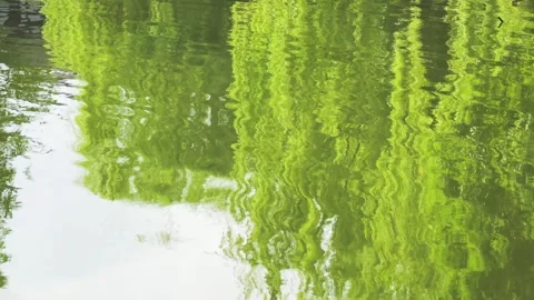 Summer landscape with vibrant tree reflections shimmering on river water surface Video stock 342332895