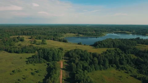 Summer landscape with a view of a dense forest in St. Petersburg Stock Footage 150507724