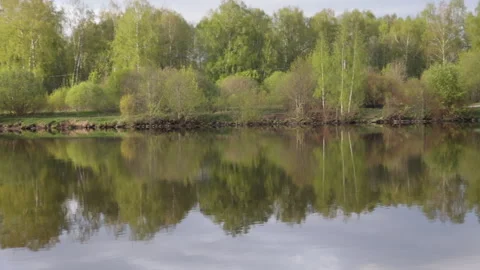 Summer landscape view of a wide river in spring at sunset Stock Footage 274896831