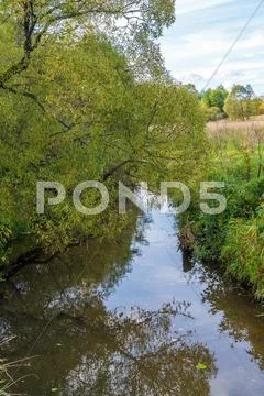 Summer landscape with a weeping willow on the Bank of a river Stock Photos