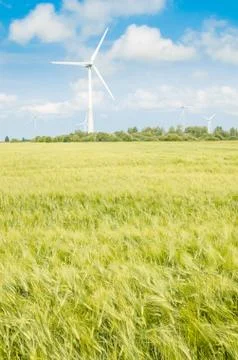 Summer landscape with wind generators Stock Photos