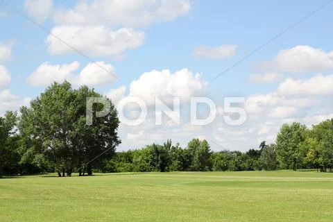 Summer landscape.JPG Stock Photos