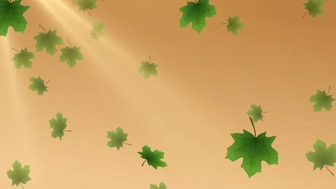 Summer Leaves Animated Backdrop with 4 transitions Stock Footage 124649286