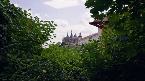 Summer Leaves Framing Distant Gothic Cathedral Stock Footage 313882302