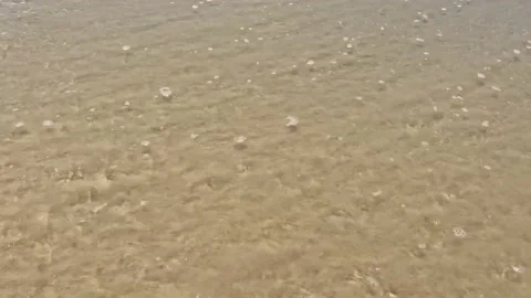 Summer lettering written on the sand washed out with the sea wave Stock Footage 218472220