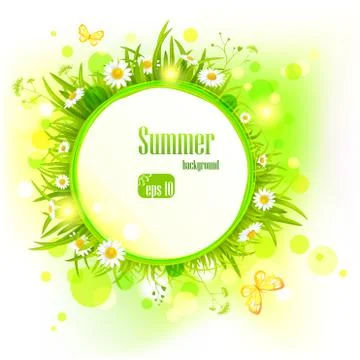Summer light background with  daisies Stock Illustration