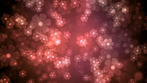 Summer Light Flowers Stock Footage 91055685