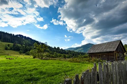 Summer log cabin Stock-Fotos