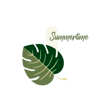Summer Logo Vector Design - Tropical Monstera Leaf Plant Close-up - Summer Ti Stock Illustration