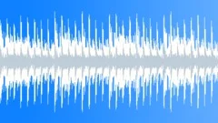 Summer - loop_5 ( 14 sec ) Stock Music