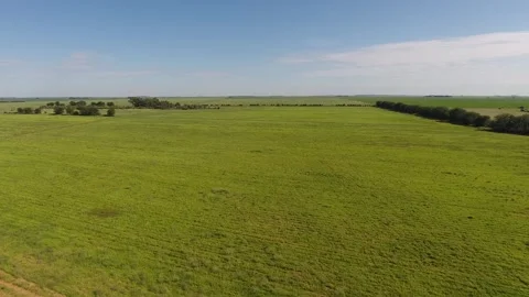 Summer Meadow from Above Stock Footage 243569085
