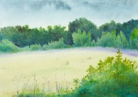 Summer meadow after rain Illustrazione stock