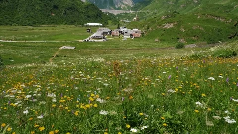 Summer Meadow and Rustic Village Nestled in a Lush Mountain Valley Stock Footage 306152629