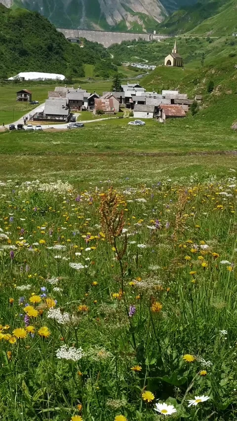 Summer Meadow and Rustic Village Nestled in a Lush Mountain Valley Video stock 314655731