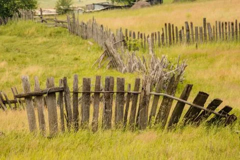 Summer meadow backdrop Stock Photos