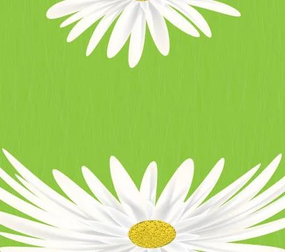Summer meadow background with white daisy flowers Stock Illustration