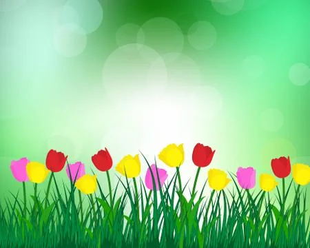 Summer meadow Stock Illustration