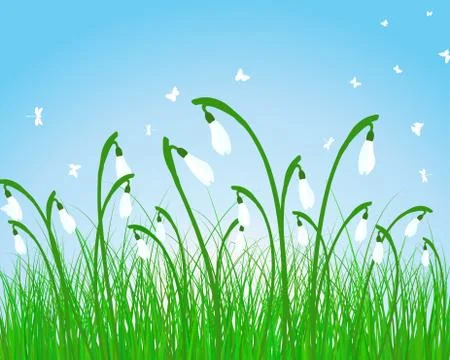 Summer meadow Stock Illustration