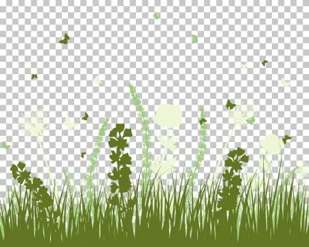 Summer meadow Stock Illustration