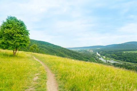 Summer meadow with lonely tree Stock Photos