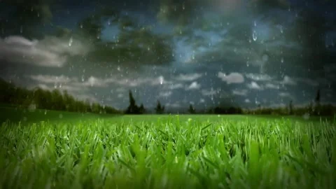 Summer meadow with long grass gently Stock Footage 275646053