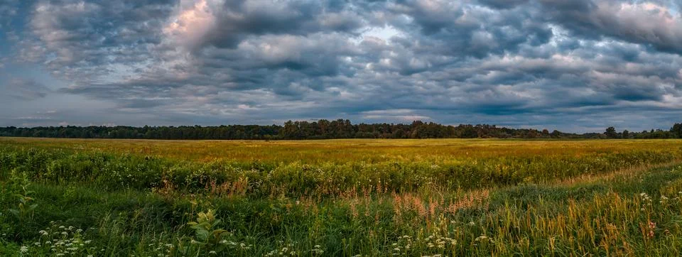 Summer Meadow Panorama Dramatic Cloudscape Stock Photos