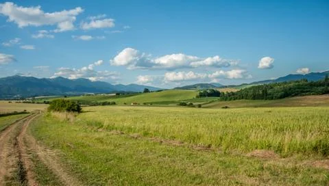 Summer meadow path Stock Photos