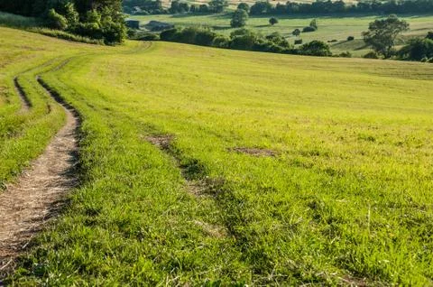 Summer meadow path Stock Photos