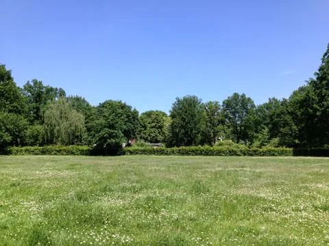 Summer Meadow Foto stock