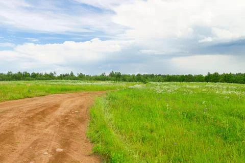 Summer meadow Stock Photos