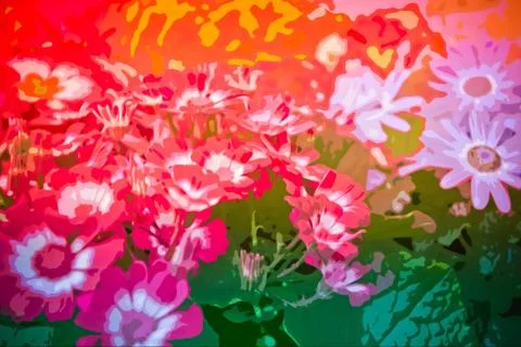 Summer meadow Stock Photos