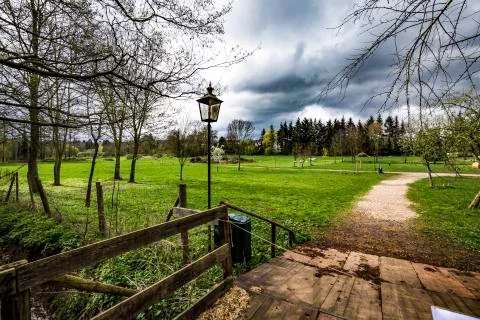 Summer meadow Foto stock