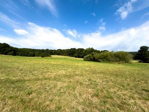 Summer Meadow Stock Photos
