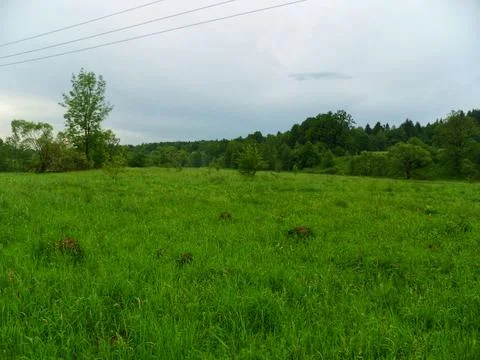 Summer Meadow at Sunset Stock Photos