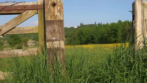 Summer meadow through view of rustic wooden gate Video stock 155991920