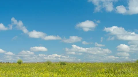 Summer meadow timelapse Stock Footage 7732513