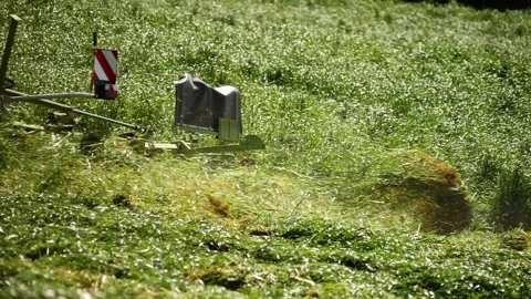 Summer meadow with tractor chopping grass Stock Footage 242521635