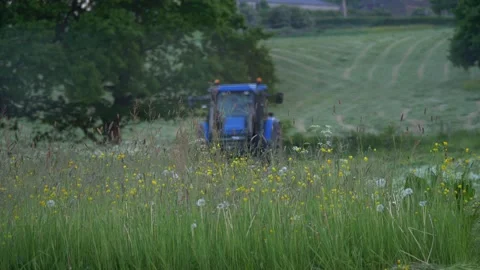 Summer meadow with tractor in distance Stock Footage 155622553