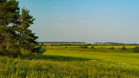 Summer meadows and fields on a Sunny day Stock Photos