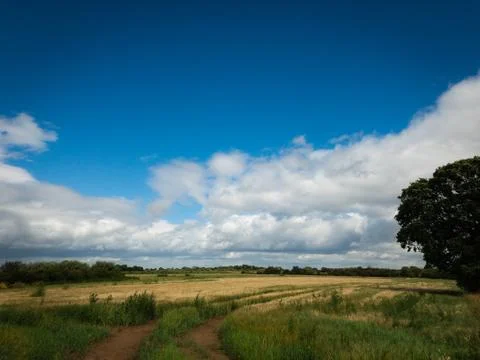 Summer Meadows Stock Photos