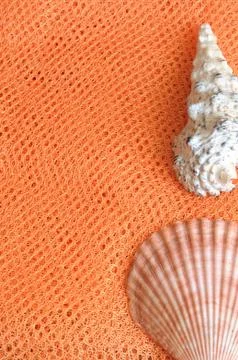 Summer minimalist background Stock Photos