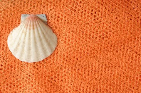 Summer minimalist background Stock Photos