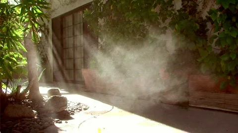 Summer Mist Stock Footage 494628