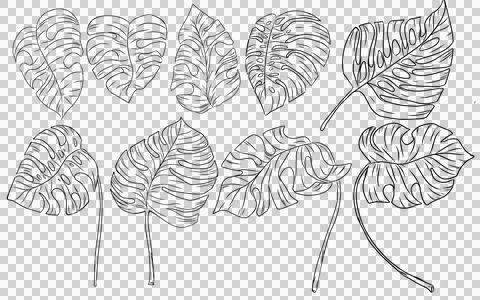 Summer monstera leaves illustration pattern  Stock Illustration